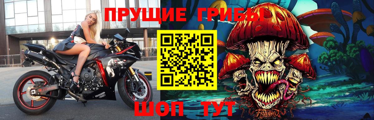Псилоцибиновые грибы GOLDEN TEACHER  наркошоп  Снежинск  Вход с VPN 